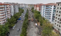 Diyarbakır’da 20 yıllık ağaçlar yol yapımına kurban mı gitti?