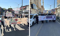 Diyarbakır’da sağlıkçılardan farkındalık yürüyüşü