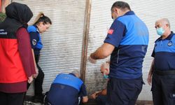 Şanlıurfa’da 1 ton bozuk et ele geçirildi