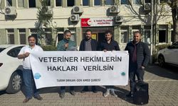 Diyarbakır’da veteriner sağlık emekçileri hak kaybına dikkat çekti