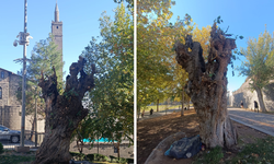 Diyarbakır’da 500 yıllık miras göz göre göre çürüyor!