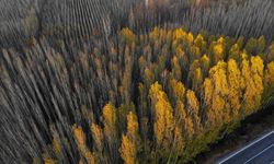 Sonbaharın renkleri Savur’u büyülüyor