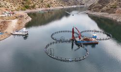 Diyarbakır'dan dünyaya "Mezopotamya somonu" gönderilecek