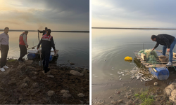 Diyarbakır’da baraj gölünde kaçak avcılara baskın