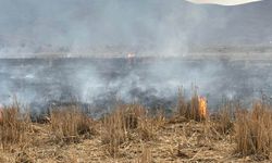 Bingöl'de anız yangını paniği