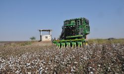 Çitçiler destek bekliyor