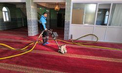 Diyarbakır’da köy camilerinde kış temizliği