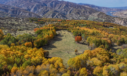 Diyarbakır' da sonbaharın renkleri dronla görüntülendi