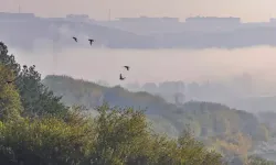 Diyarbakır’ın tarihi ve doğası sisle birleşti