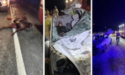 Diyarbakır'da iki otomobil ile at çarpıştı: Ölü ve yaralılar var