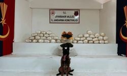 Diyarbakır'da uyuşturucu operasyonu