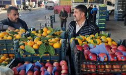 Diyarbakır’da sonbaharın favorisi meyvesi belli oldu