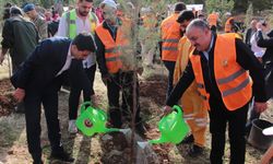 Diyarbakır’da 3 bin fidan toprakla buluştu