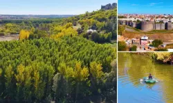 Diyarbakır’da 8 bin yıllık miras renk cümbüşüne büründü