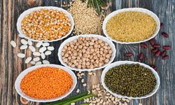 Hububat ve bakliyat ihracatı arttı