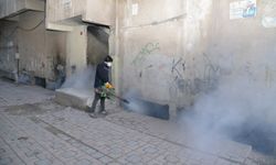 Diyarbakır’da haşerelere karşı kışlak ilaçlama başladı