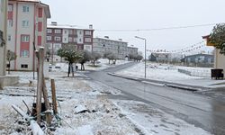 Bitlis’e mevsimin ilk karı düştü