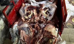Batman’da kaçak et operasyonu