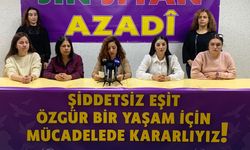 25 Kasım öncesi Amed KESK Kadın Meclisi’nden önemli açıklama