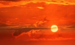 Sıcaklığa bağlı ölümler son 30 yılda yüzde 63 arttı