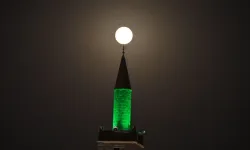 Diyarbakır’da ‘Kunduz ayı’ kartpostallık görüntüler oluşturdu