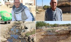 Diyarbakır’ın Dedeköy Mahallesi'ndeki altyapı sorunu sağlığı tehdit ediyor