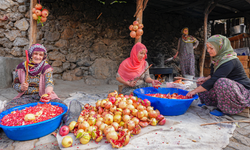 Diyarbakırlı kadınların zorlu nar ekşisi mesaisi başladı