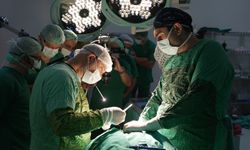 30 binden fazla hasta organ nakli bekliyor