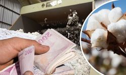 Diyarbakır Bismil’de Çırçır Fabrikası sahibi kayıplara karıştı, çiftçiler endişeli