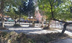 DBB’den Hatay’da yeni park çalışması