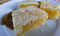 Türkiye’nin AB tescilli coğrafi işaret sayısı 43’e yükseldi