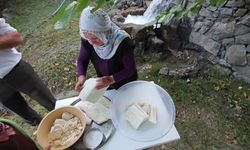 Yayladan sofraya doğal antibiyotik