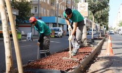 Diyarbakır Bağlar’da peyzaj çalışmaları tamamlandı