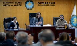 Diyarbakır Eşbaşkanı Bucak’tan kırsal alanlarda su hamlesi