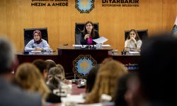 Diyarbakır’da şiddete sıfır tolerans