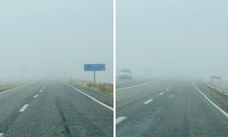 Diyarbakır–Silvan karayolunda yoğun sis