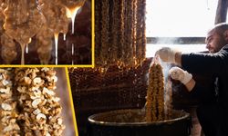 Cevizli sucuk ve pestil için mesai sürüyor