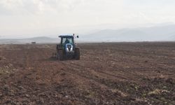 Batman’da yağış çiftçinin yüzünü güldürdü