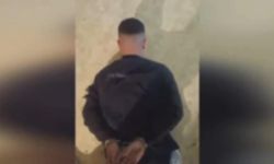 İstanbul’da suç örgütlerine yönelik operasyon