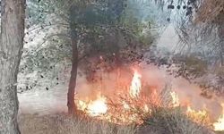 10 yaşlarındaki bir çocuk yangına sebep oldu