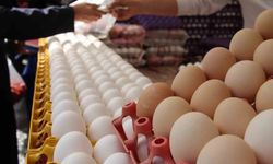 Diyarbakır'da yumurta fiyatları 7 aydır sabit