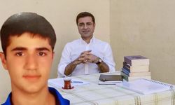 Arınç açıkladı; Demirtaş ve Yasin Börü uzaktan akraba