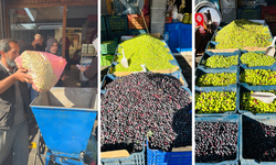 Diyarbakır’da zeytine büyük rağbet: Kış sofralarına hazırlık