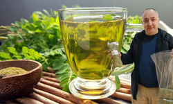Diyarbakır’da aktarların yeni gözdesi: Moringa çayı