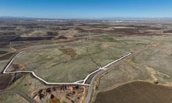 Diyarbakır’da sokak hayvanları için devrim gibi proje