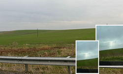 Kuraklığın ardından gelen umut: Güneydoğu’da tohumlar filizlendi