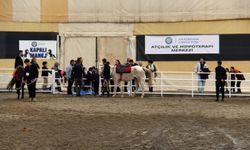 Diyarbakır’da Hippoterapi Merkezi hizmete açıldı