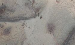 Tunceli'de yasa dışı avcılık operasyonu