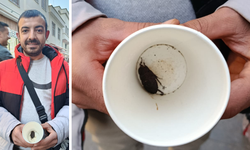 Diyarbakır’da şaşırtan böcek! Güney Amerika türü Sur’da ortaya çıktı