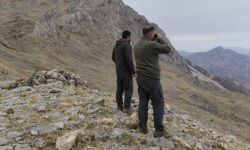 Kaçak avlanmaya 15 bin lira ceza kesildi